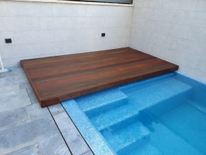 20190730_174030 (Medium)